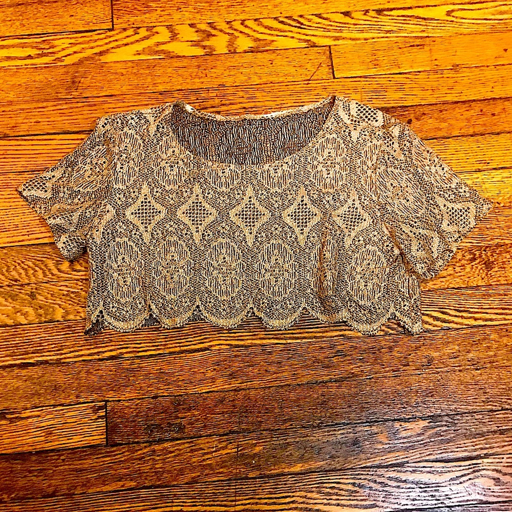 UO Sheer Metallic Lace Crop Top